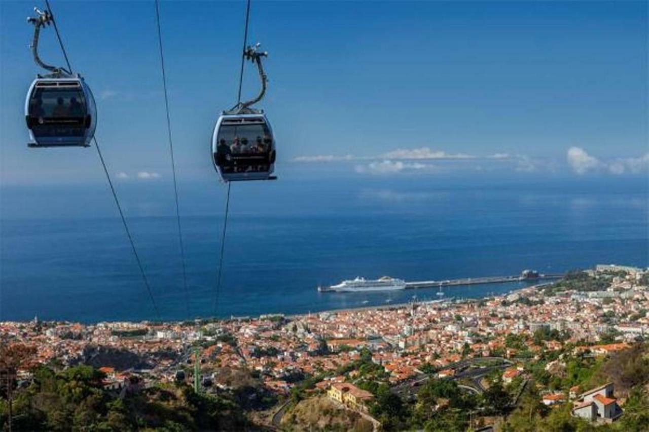 Madeira Funchal Gardens * Funchal (Madeira)