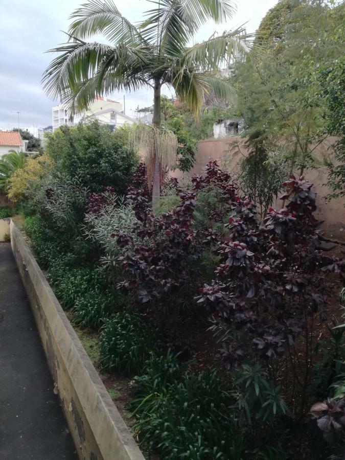 Madeira Funchal Gardens Apartment