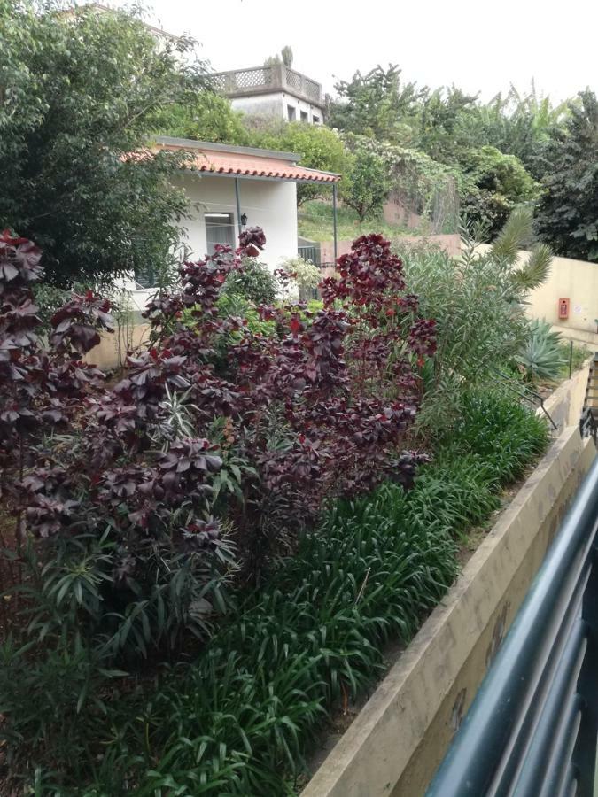 Madeira Funchal Gardens Apartment